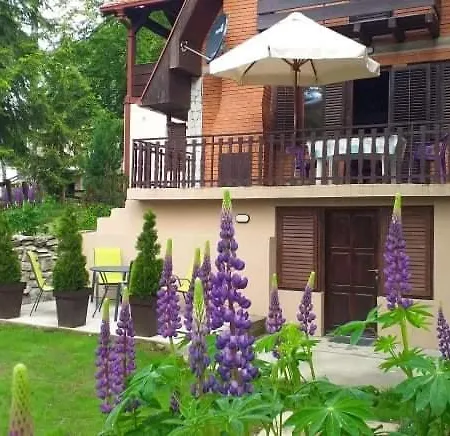 Damjan Vlasinsko Jezero Apartment Surdulica
