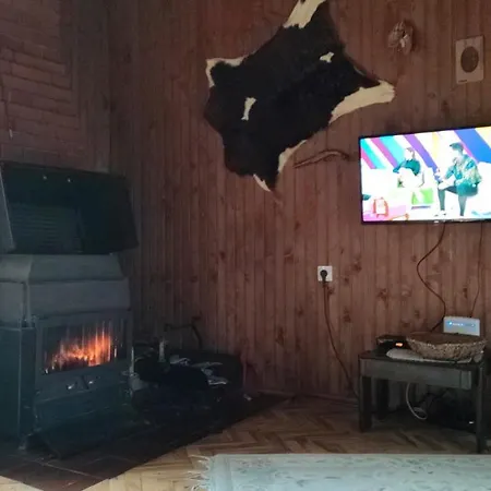 公寓 Damjan Vlasinsko Jezero *