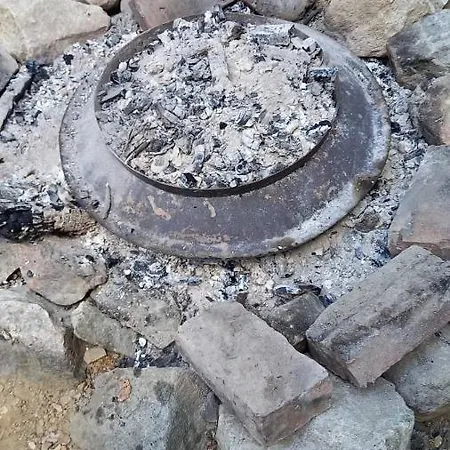 Damjan Vlasinsko Jezero *