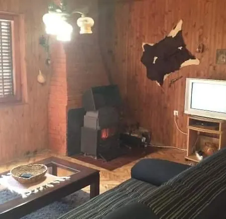 Damjan Vlasinsko Jezero