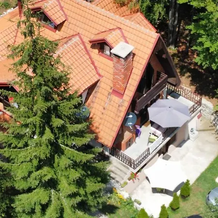 Apartment Damjan Vlasinsko Jezero