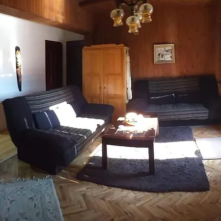 Damjan Vlasinsko Jezero