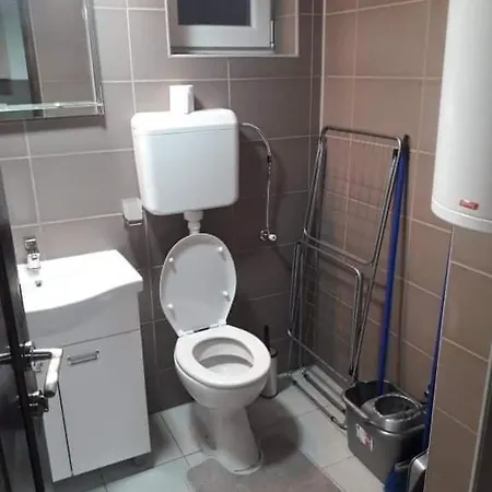 Apartment Damjan Vlasinsko Jezero
