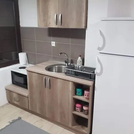 Apartment Damjan Vlasinsko Jezero