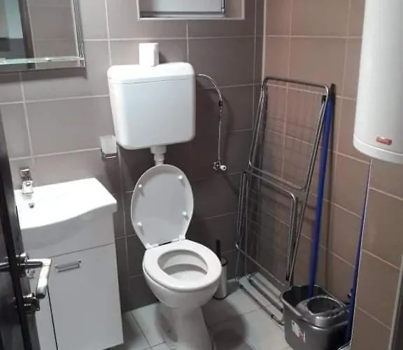 公寓 Damjan Vlasinsko Jezero