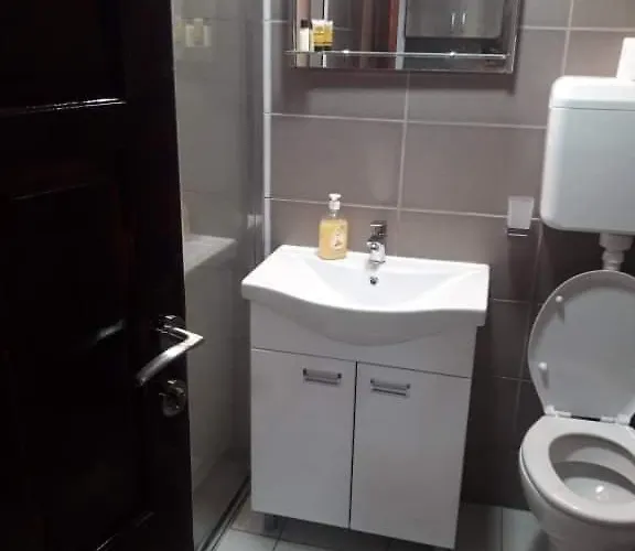 Damjan Vlasinsko Jezero