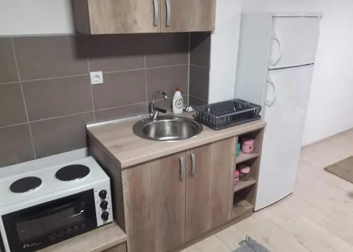 Damjan Vlasinsko Jezero Surdulica