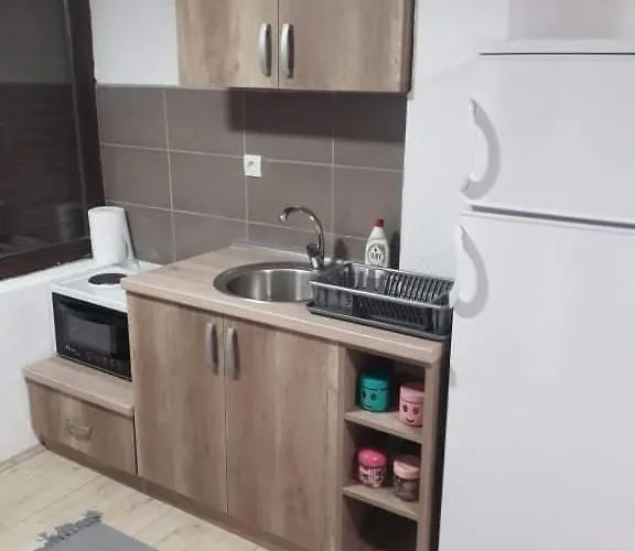 公寓 Damjan Vlasinsko Jezero